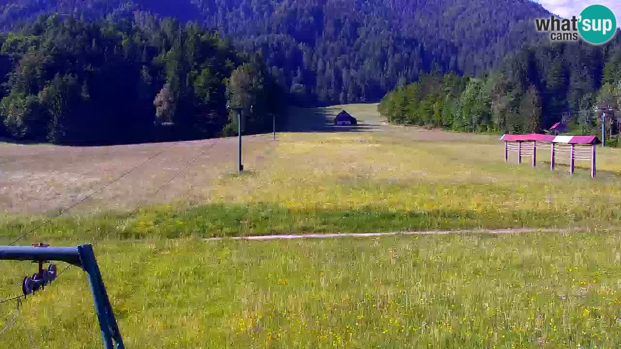 Ski Kranjska Gora | Velika Dolina