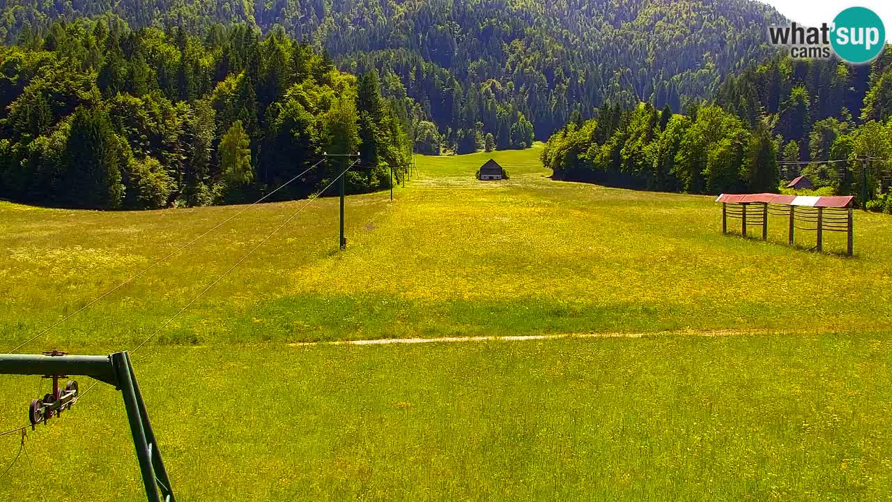 Skigebiet Kranjska Gora | Velika Dolina