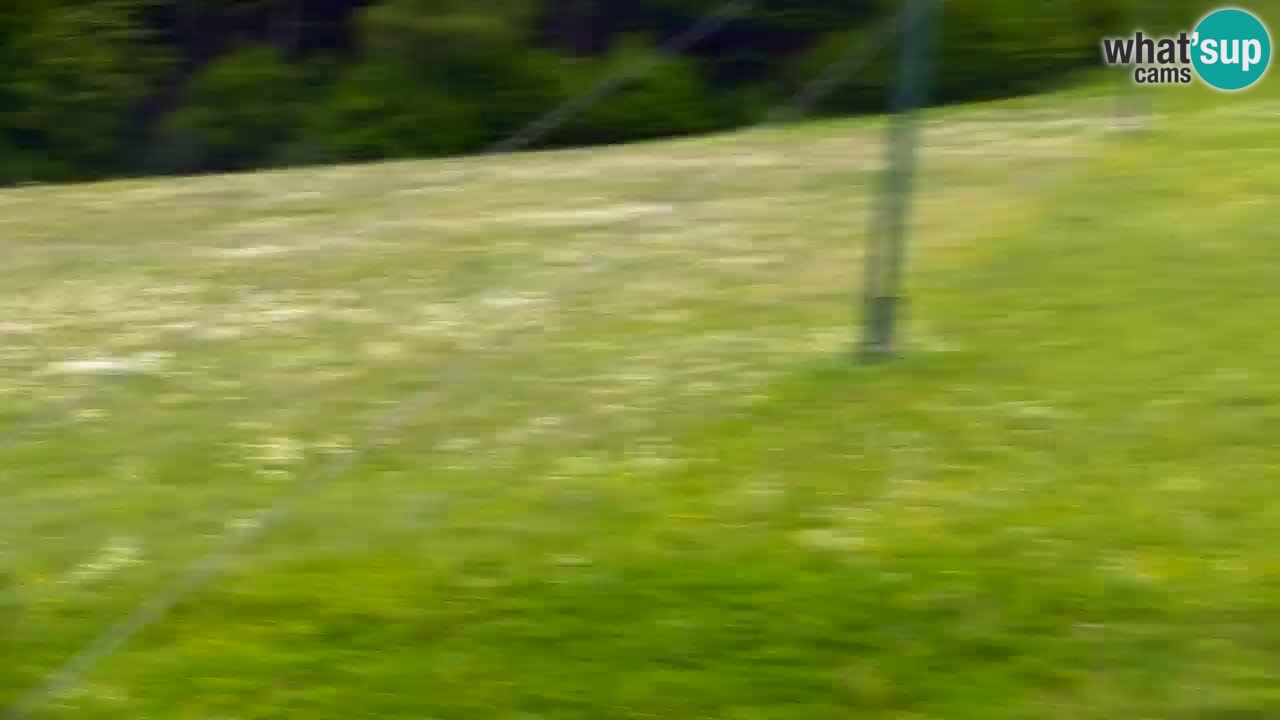 Kranjska Gora | Velika Dolina