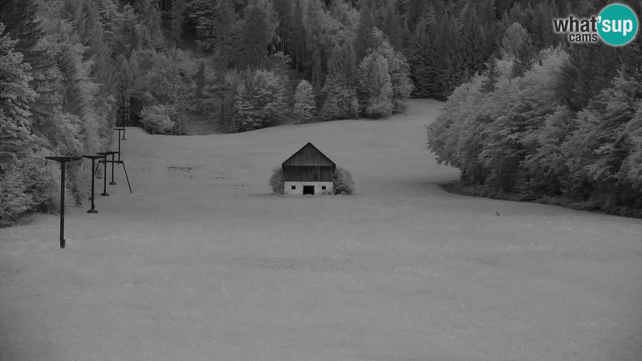 Ski Kranjska Gora | Velika Dolina