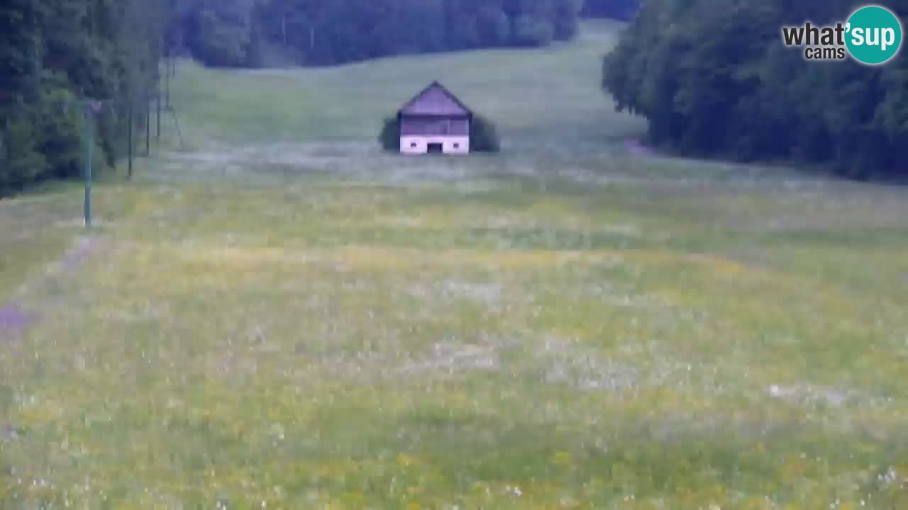 Ski Kranjska Gora | Velika Dolina