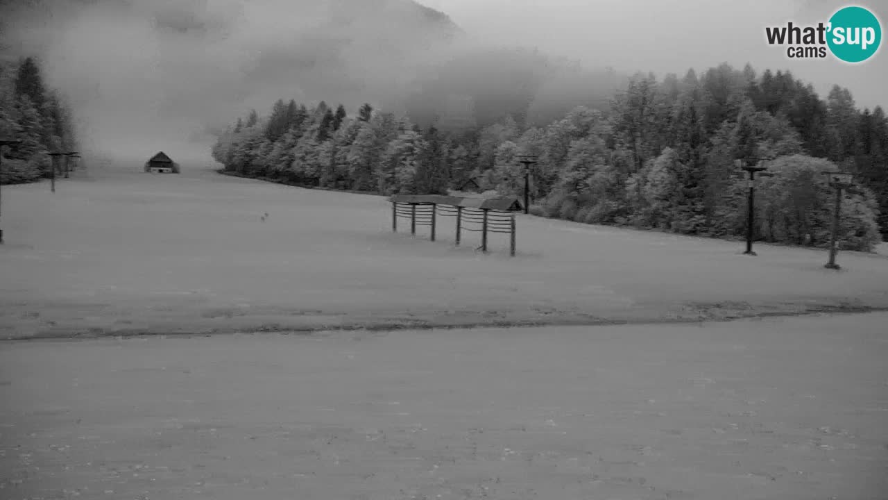 Skigebiet Kranjska Gora | Velika Dolina