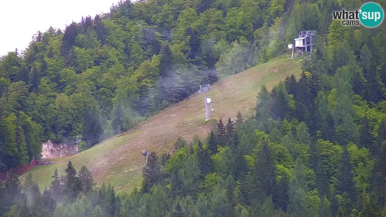 Estación de esquí Kranjska Gora | Velika Dolina