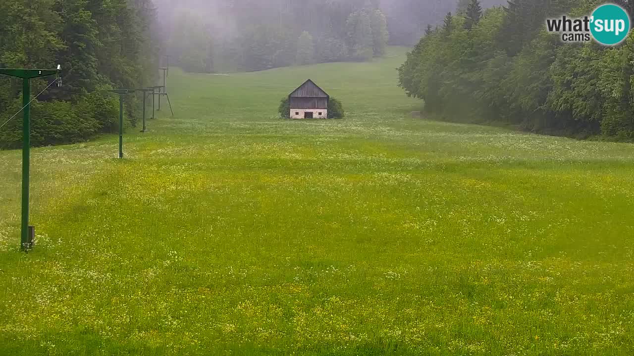 Skigebiet Kranjska Gora | Velika Dolina