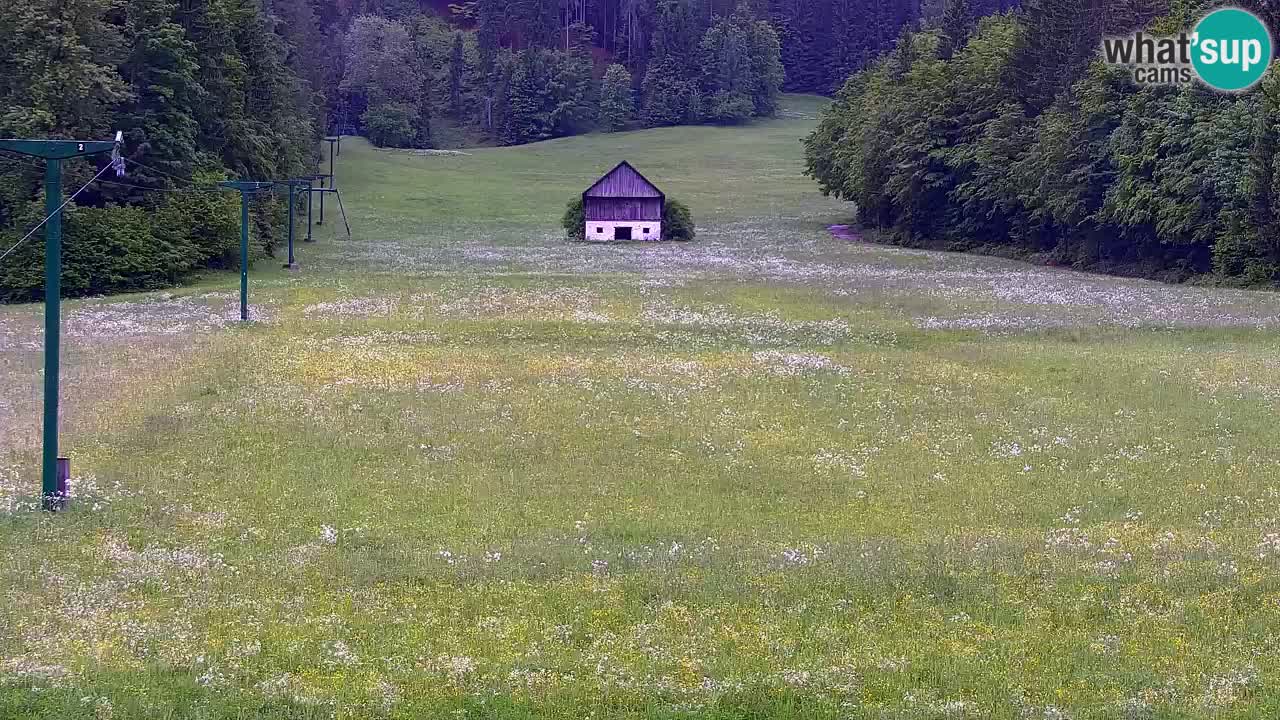 Estación de esquí Kranjska Gora | Velika Dolina