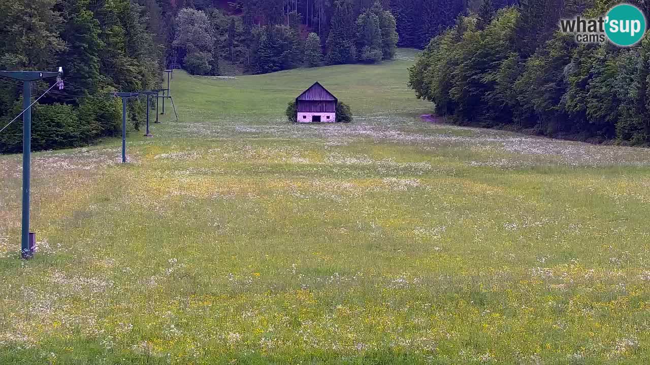 Estación de esquí Kranjska Gora | Velika Dolina