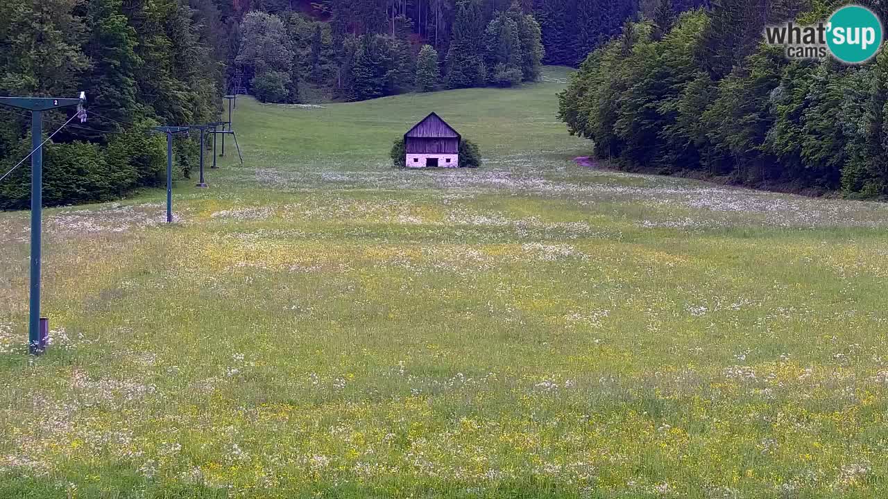 Kranjska Gora | Velika Dolina