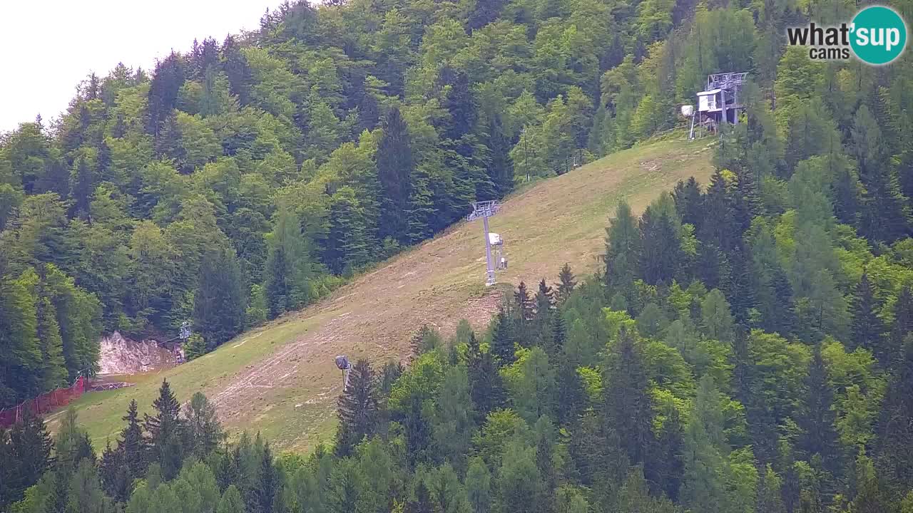 Station de ski Kranjska Gora | Velika Dolina