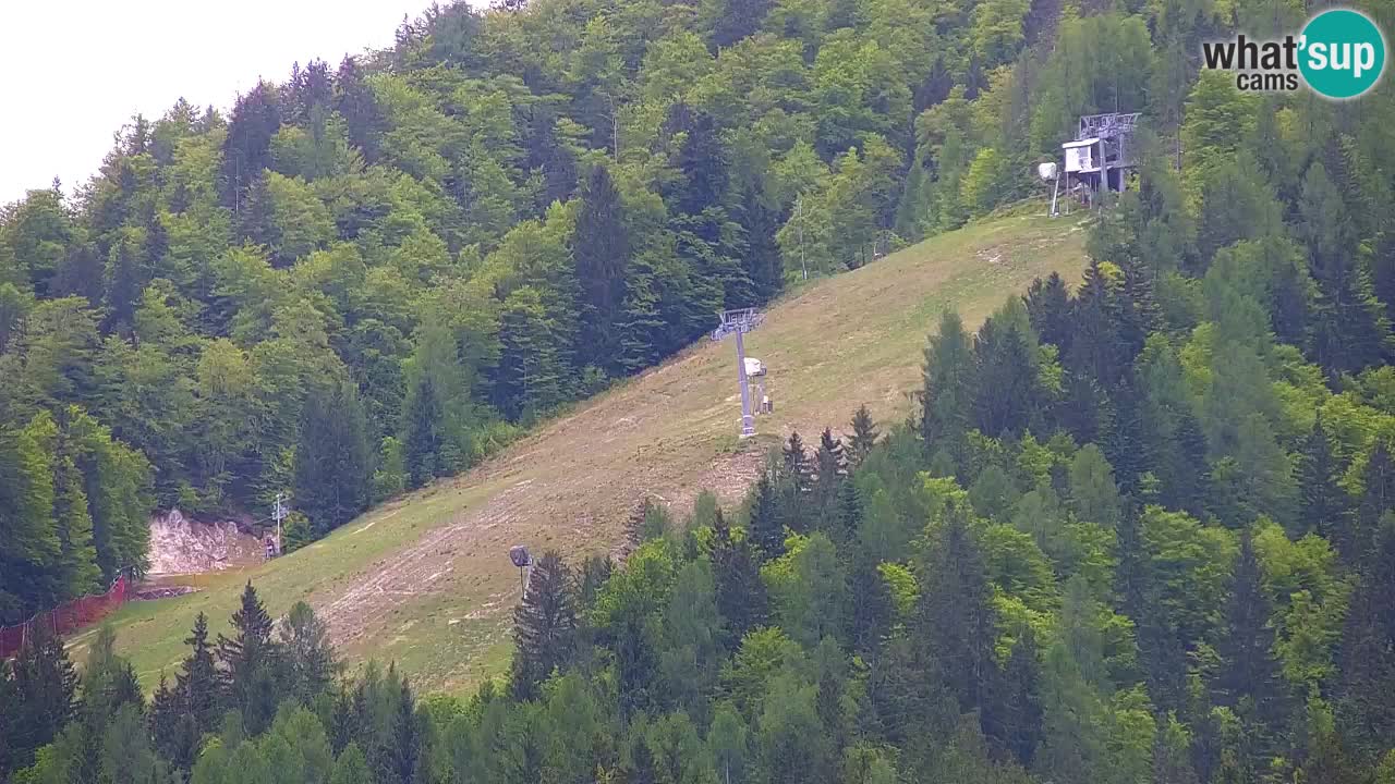 Estación de esquí Kranjska Gora | Velika Dolina