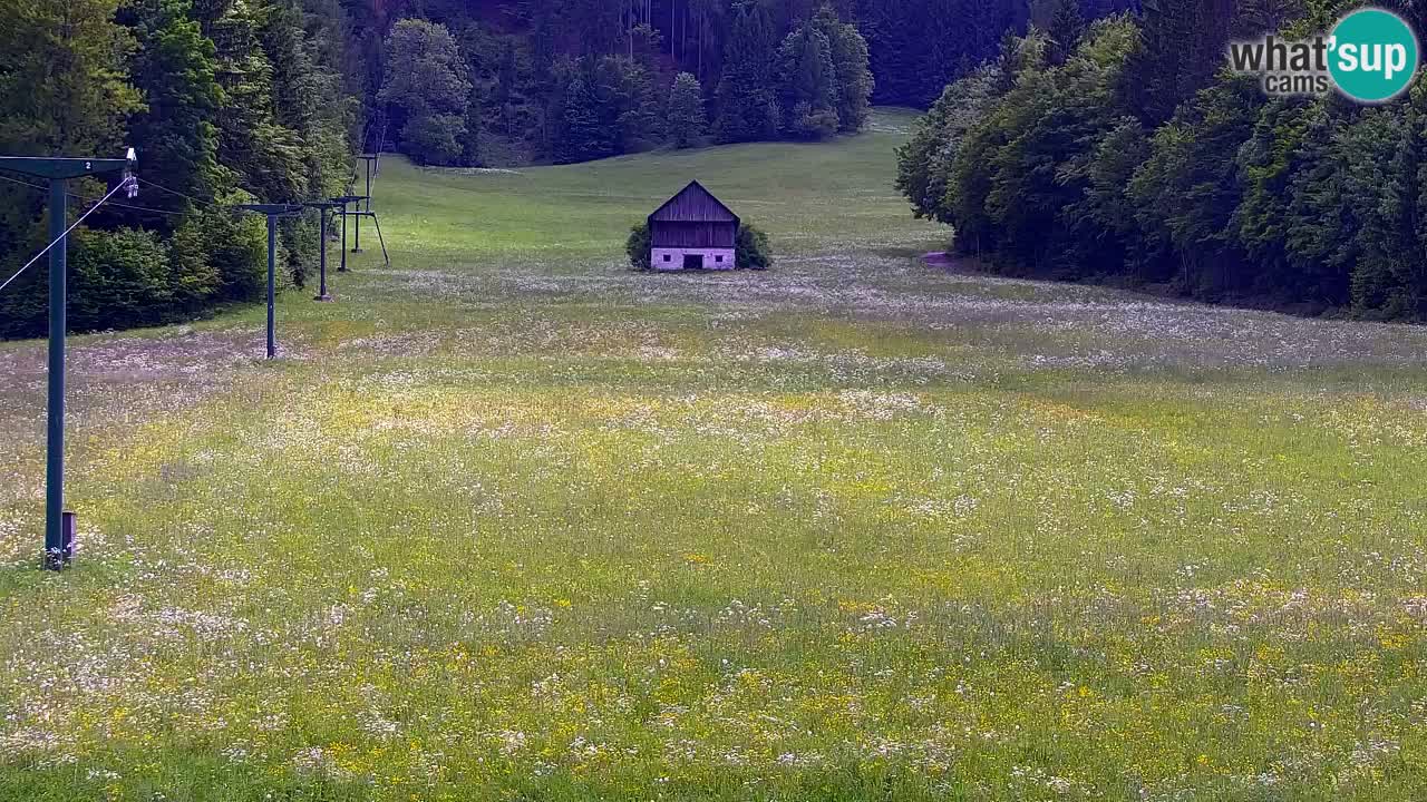 Kranjska Gora | Velika Dolina