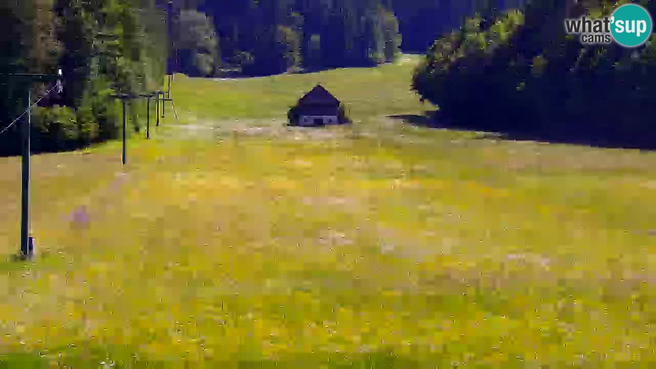 Ski Kranjska Gora | Velika Dolina