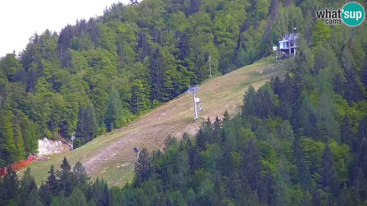 Skigebiet Kranjska Gora | Velika Dolina
