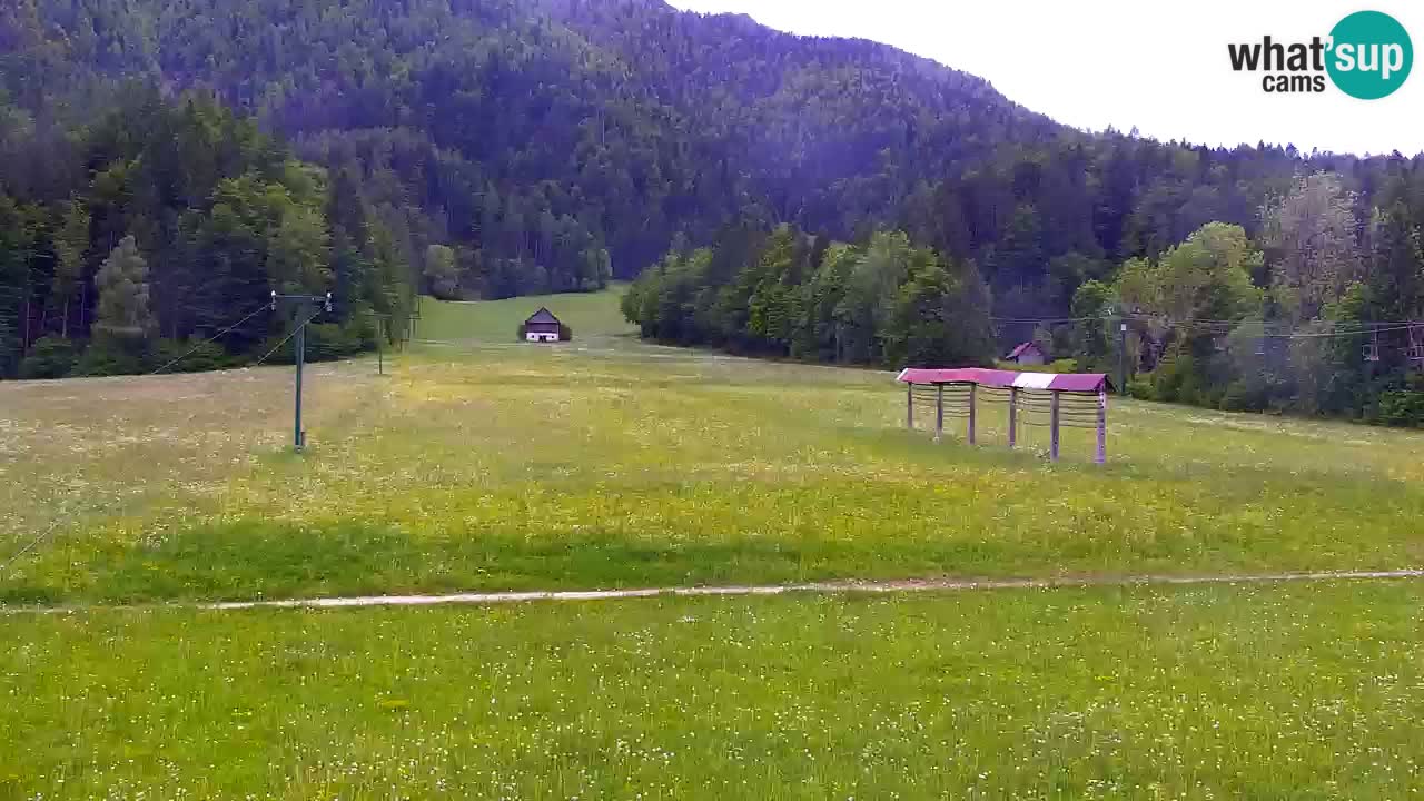 Skigebiet Kranjska Gora | Velika Dolina