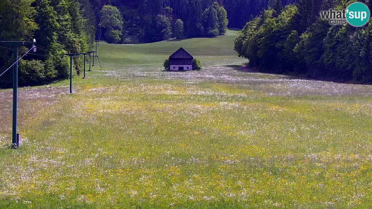 Kranjska Gora | Velika Dolina