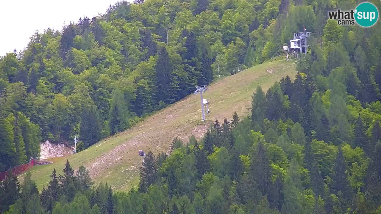 Skigebiet Kranjska Gora | Velika Dolina