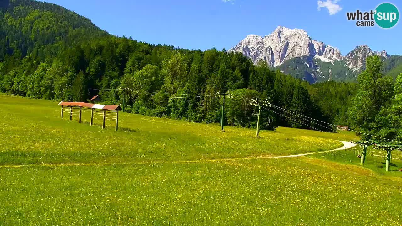 Skigebiet Kranjska Gora | Velika Dolina