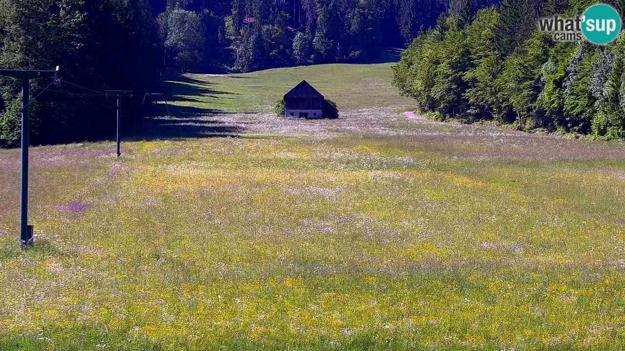 Skigebiet Kranjska Gora | Velika Dolina