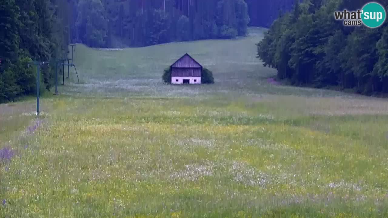 Skigebiet Kranjska Gora | Velika Dolina
