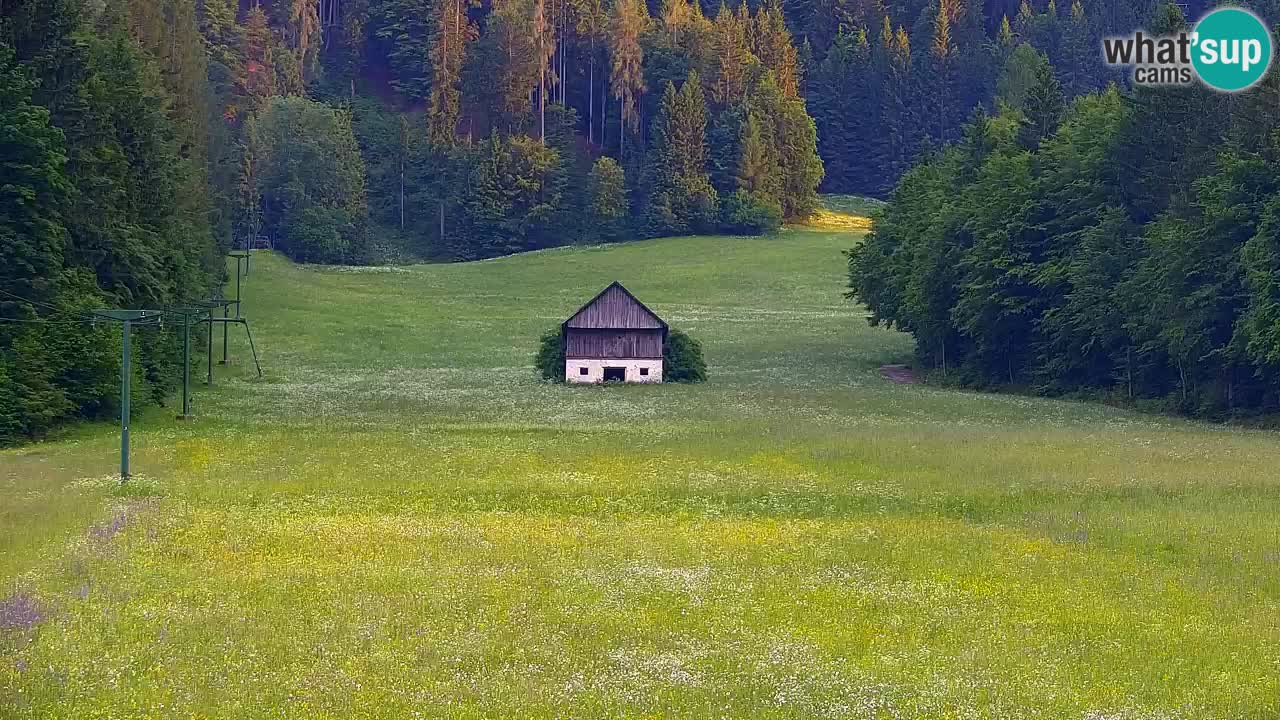 Skijanje Kranjska Gora | Velika Dolina