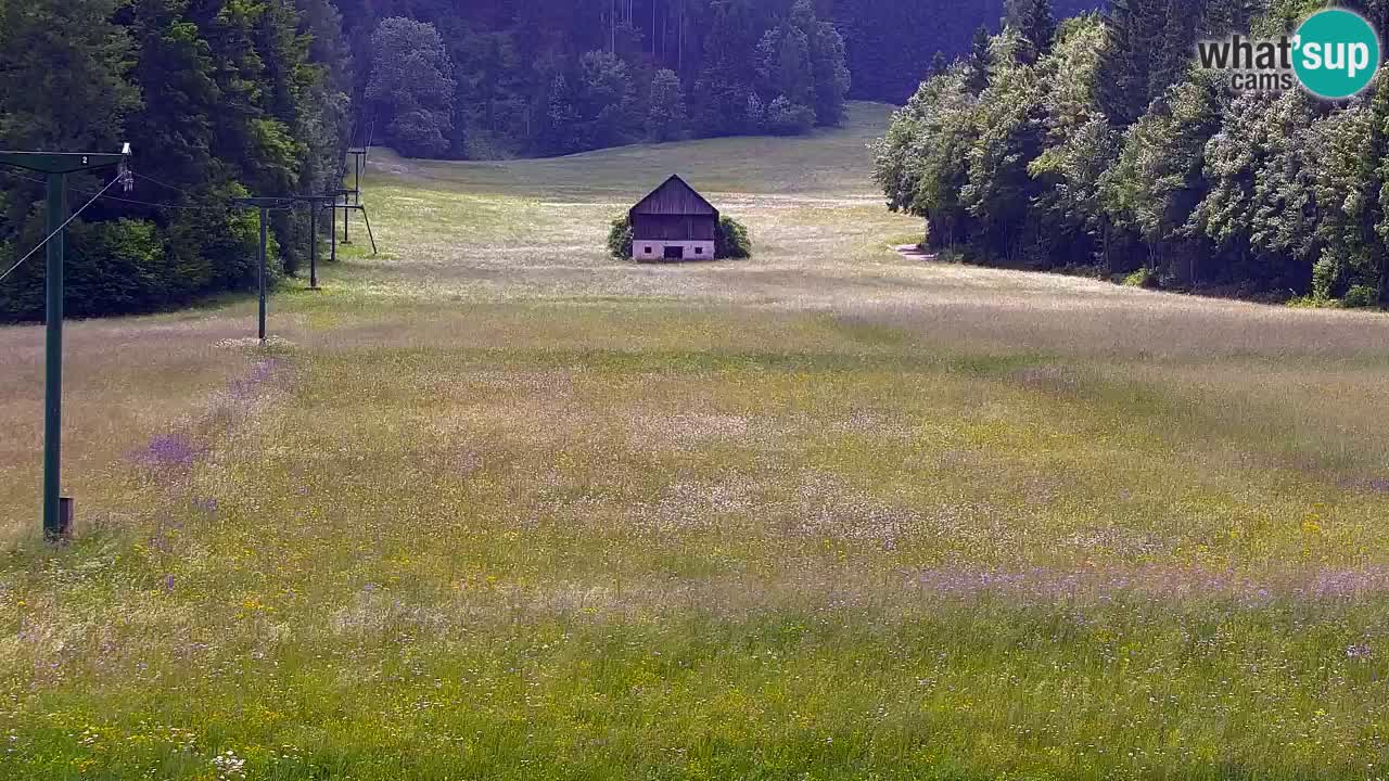 Ski Kranjska Gora | Velika Dolina