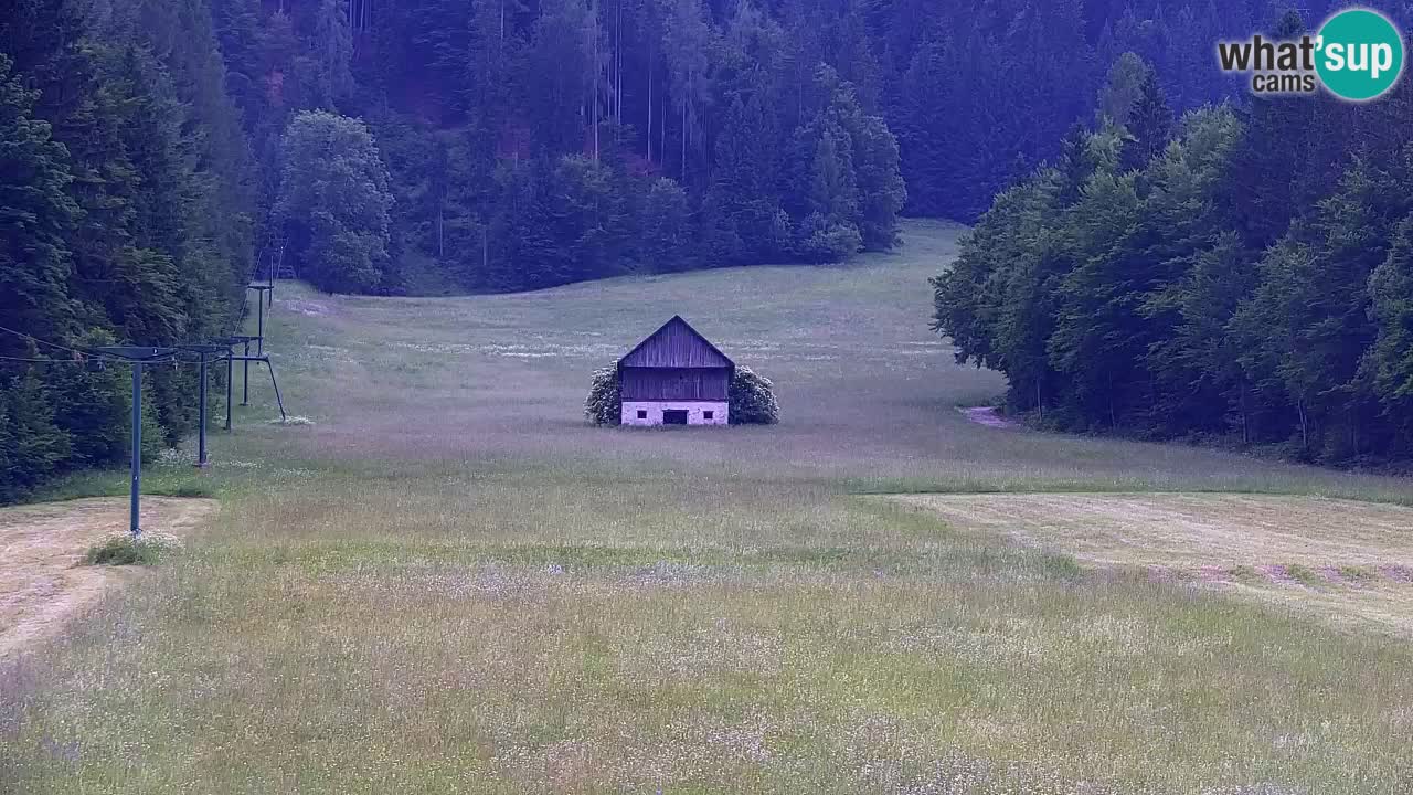 Ski Kranjska Gora | Velika Dolina