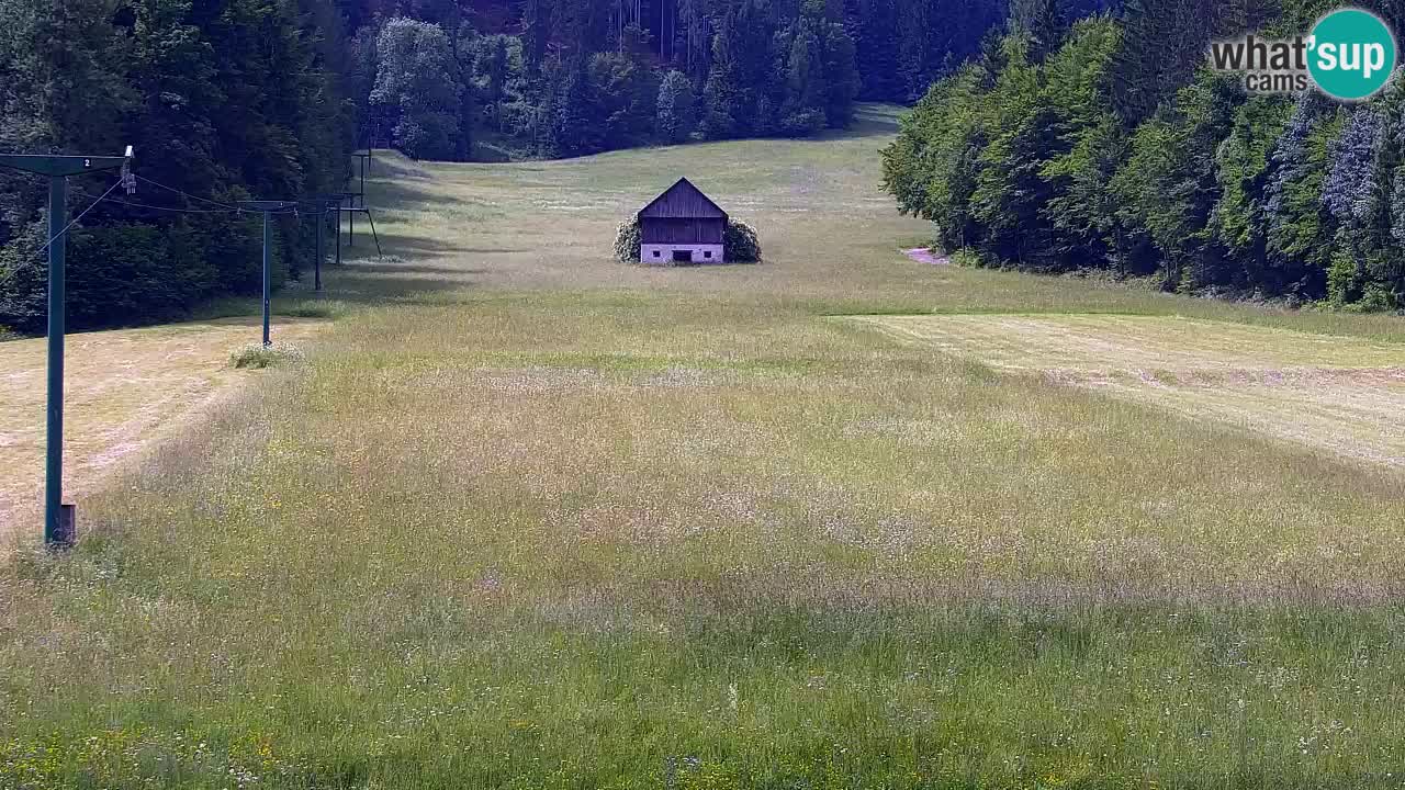 Ski Kranjska Gora | Velika Dolina