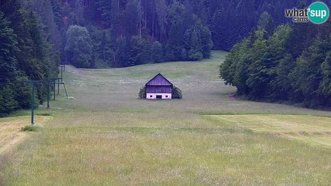 Estación de esquí Kranjska Gora | Velika Dolina