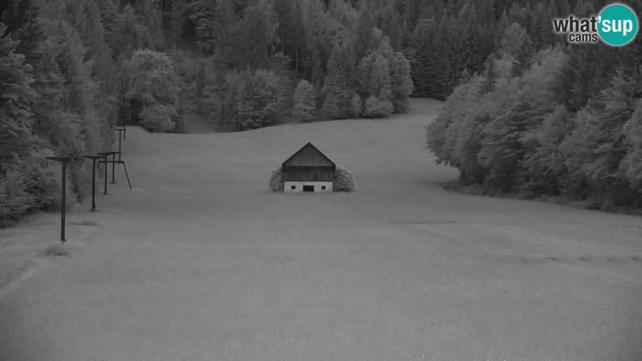 Skigebiet Kranjska Gora | Velika Dolina
