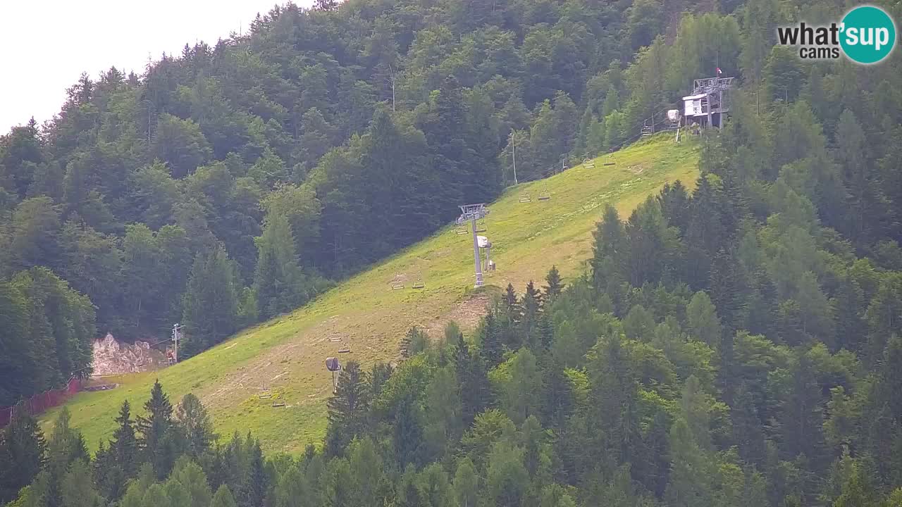 Ski Kranjska Gora | Velika Dolina