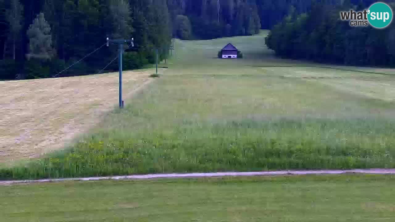Estación de esquí Kranjska Gora | Velika Dolina