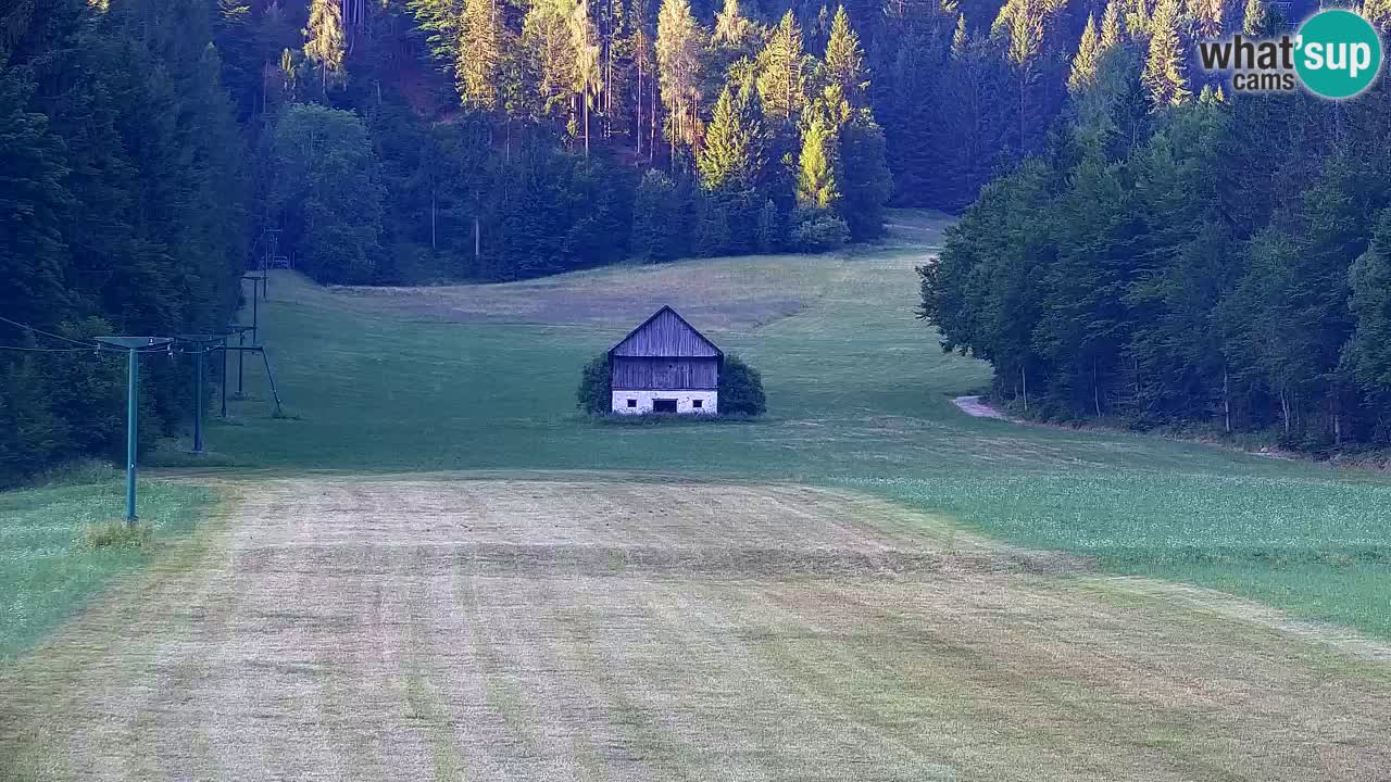 Ski Kranjska Gora | Velika Dolina