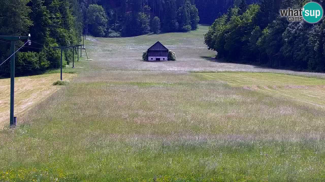 Ski Kranjska Gora | Velika Dolina