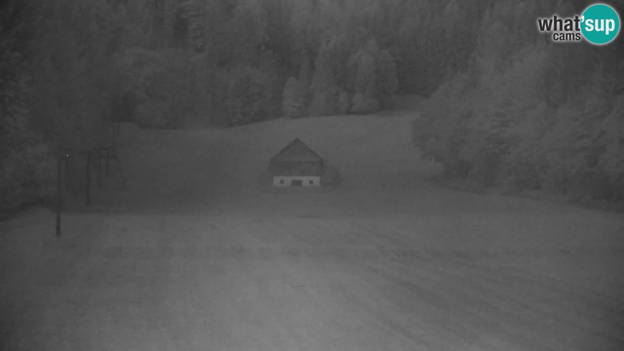 Ski Kranjska Gora | Velika Dolina