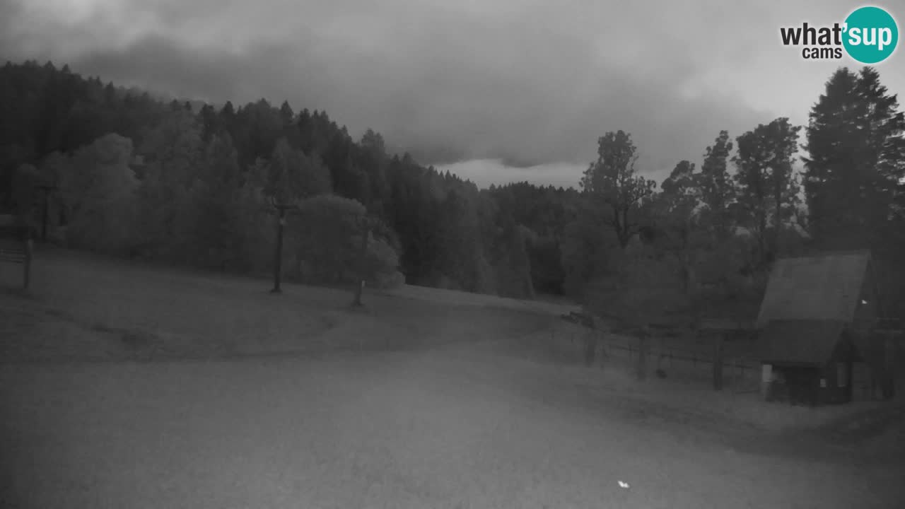 Estación de esquí Kranjska Gora | Velika Dolina