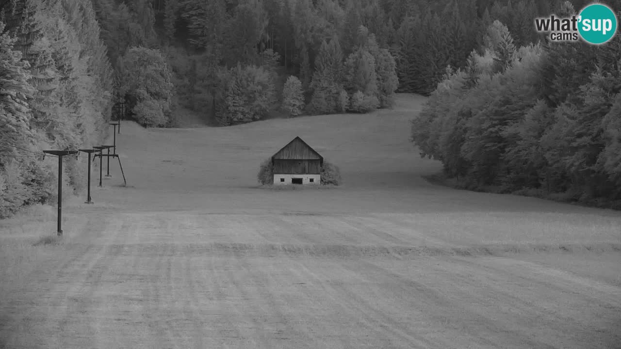 Skigebiet Kranjska Gora | Velika Dolina