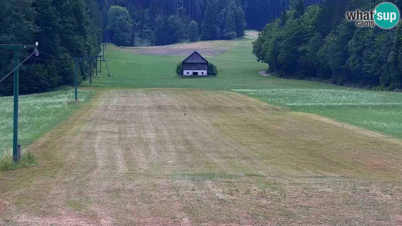 Estación de esquí Kranjska Gora | Velika Dolina