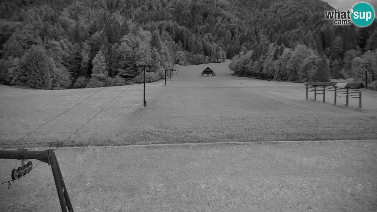 Ski Kranjska Gora | Velika Dolina