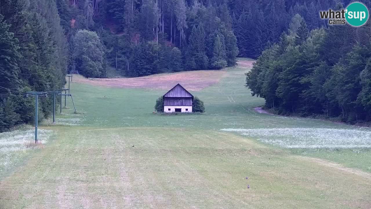 Skijanje Kranjska Gora | Velika Dolina