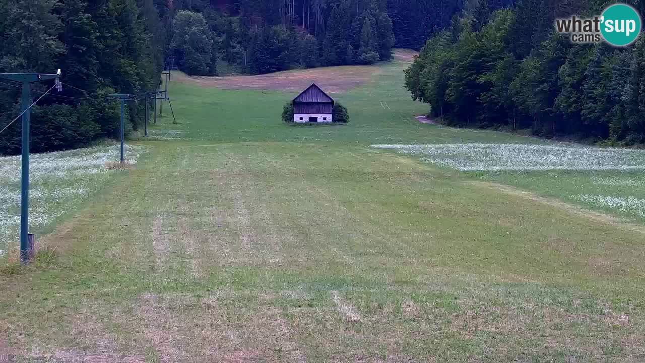 Estación de esquí Kranjska Gora | Velika Dolina