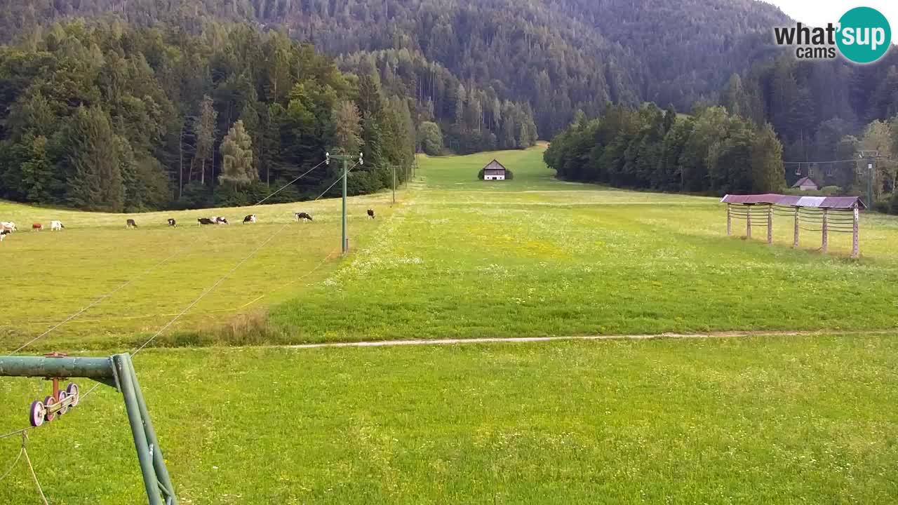 Skijanje Kranjska Gora | Velika Dolina