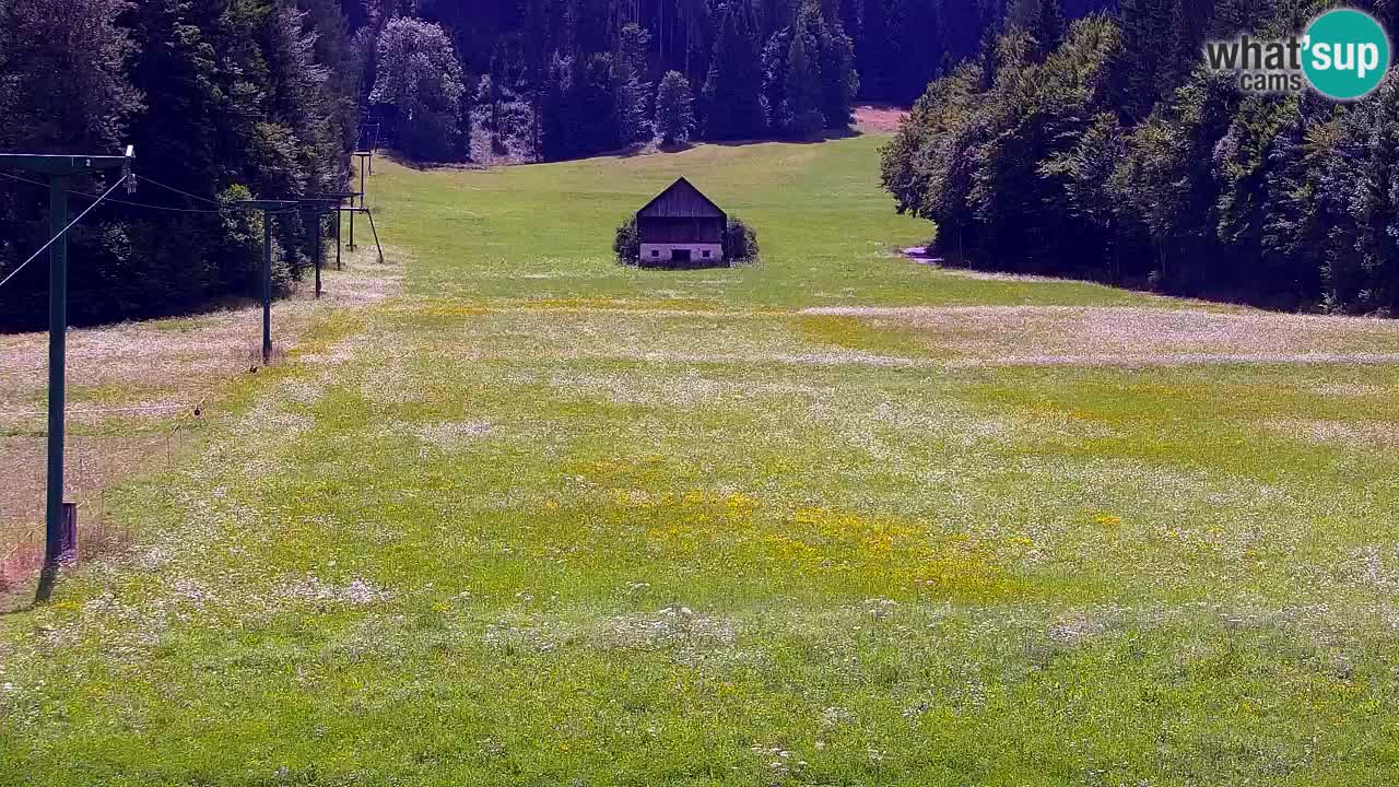 Skijanje Kranjska Gora | Velika Dolina
