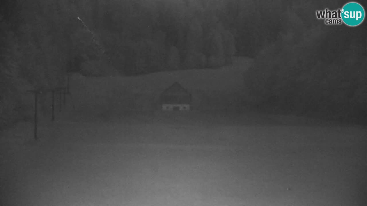 Ski Kranjska Gora | Velika Dolina