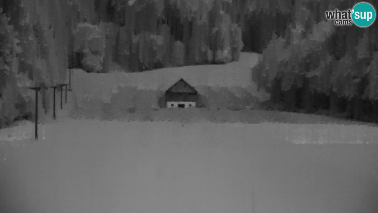 RTC Kranjska Gora | Velika Dolina