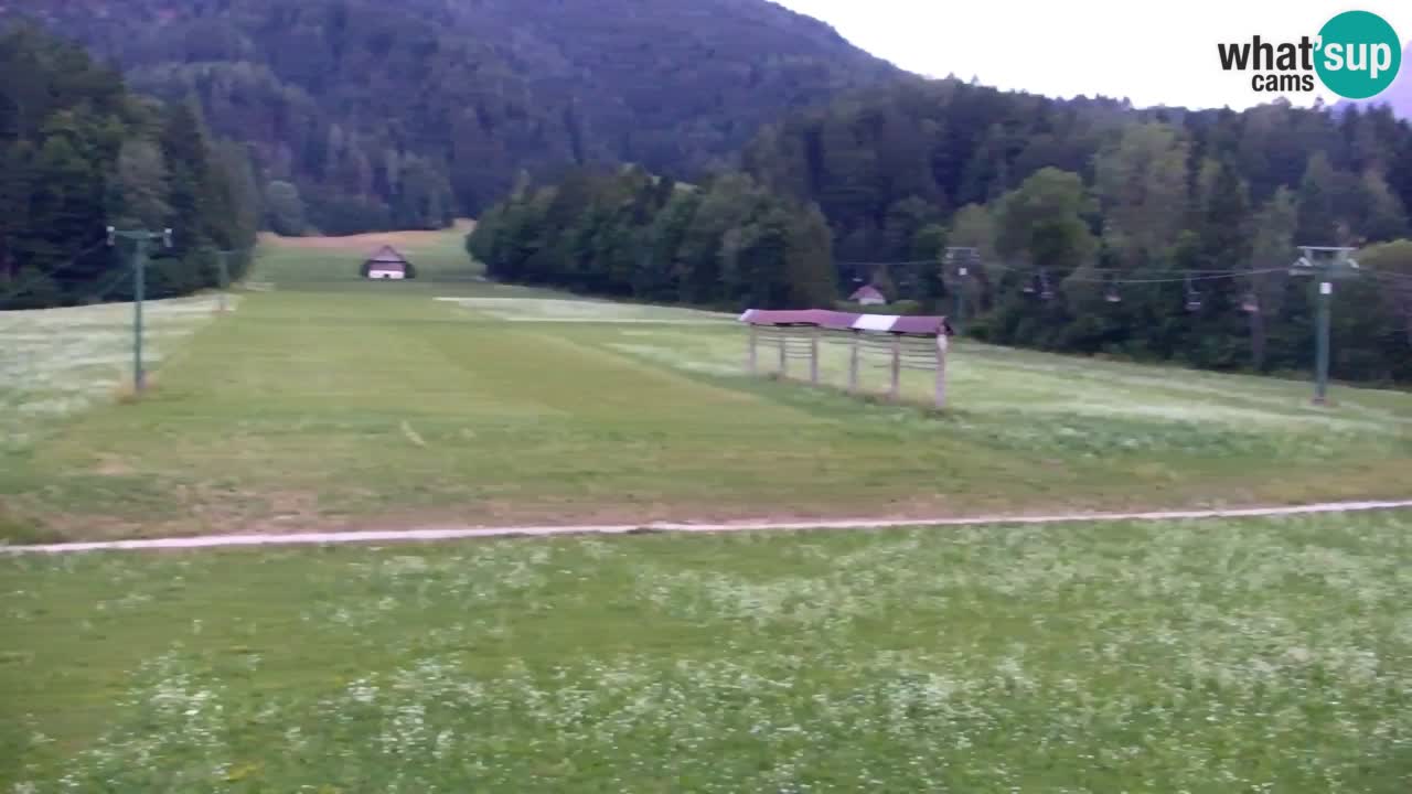 Ski Kranjska Gora | Velika Dolina
