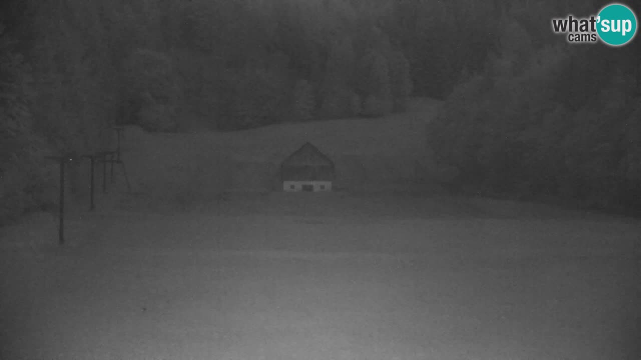 Ski Kranjska Gora | Velika Dolina