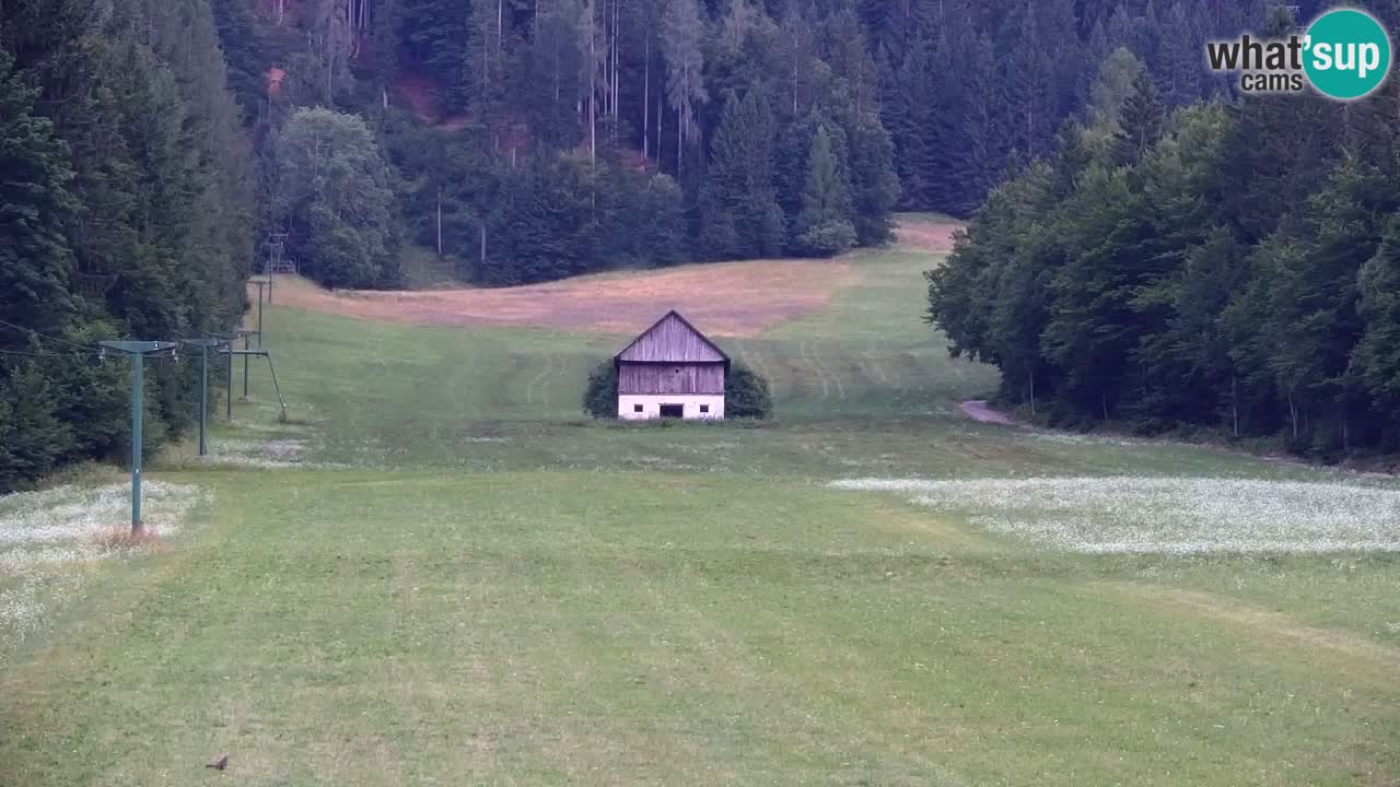 Skijanje Kranjska Gora | Velika Dolina