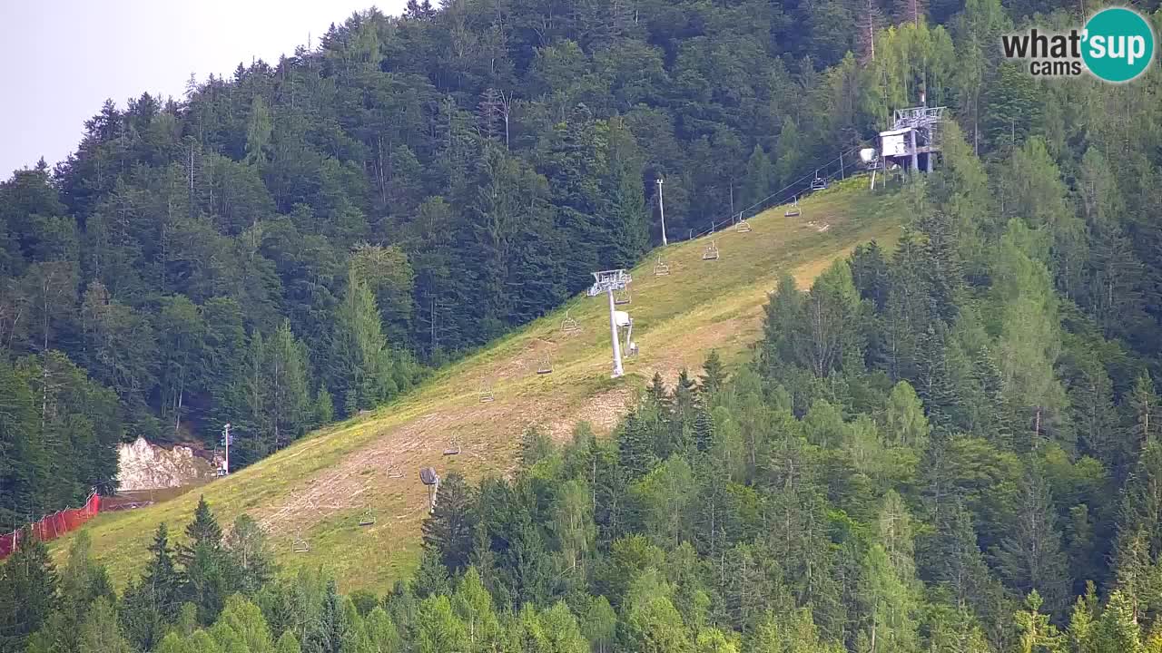 Ski Kranjska Gora | Velika Dolina