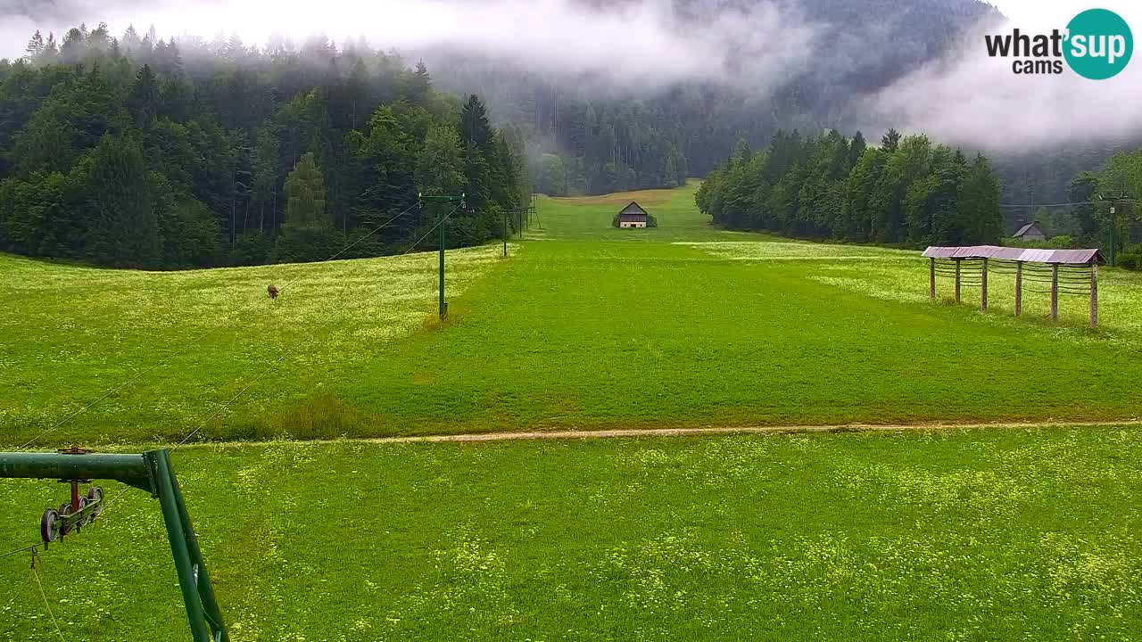 RTC Kranjska Gora | Velika Dolina