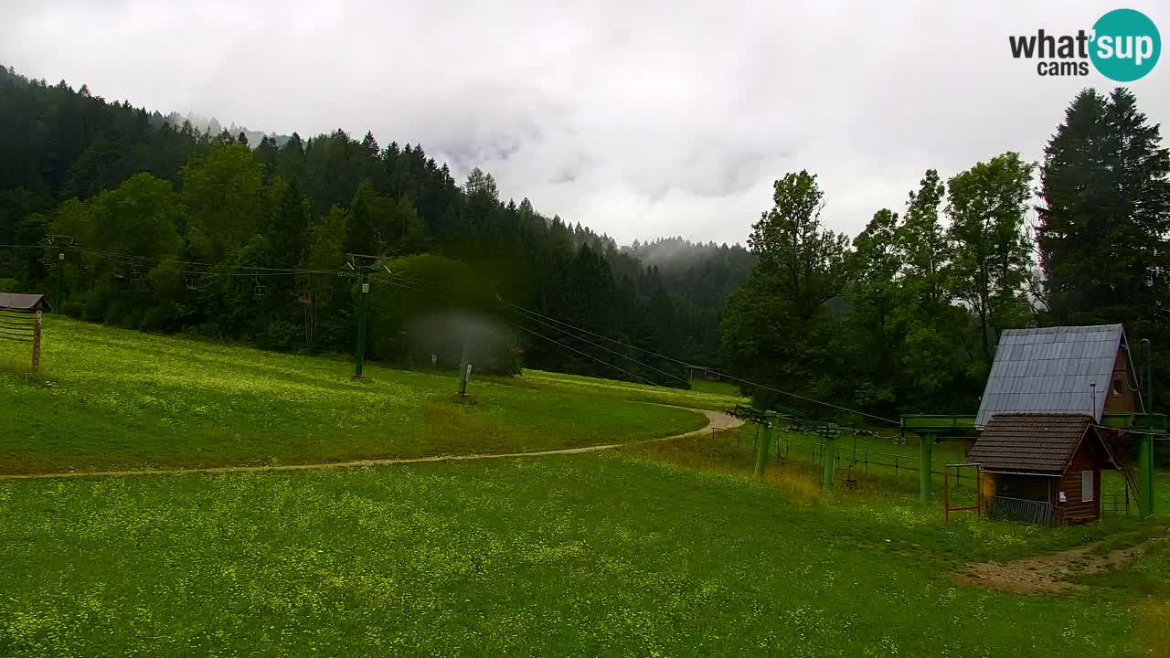 Skigebiet Kranjska Gora | Velika Dolina