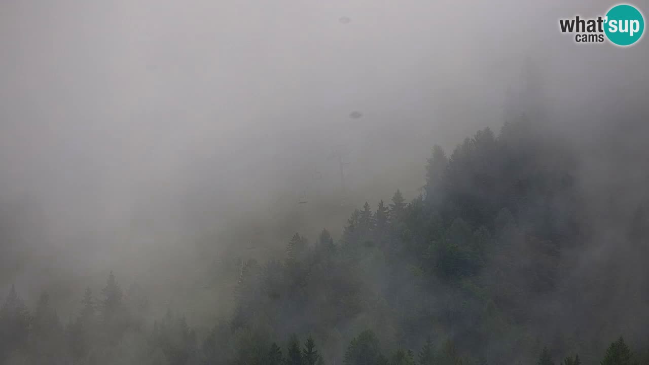 Skigebiet Kranjska Gora | Velika Dolina